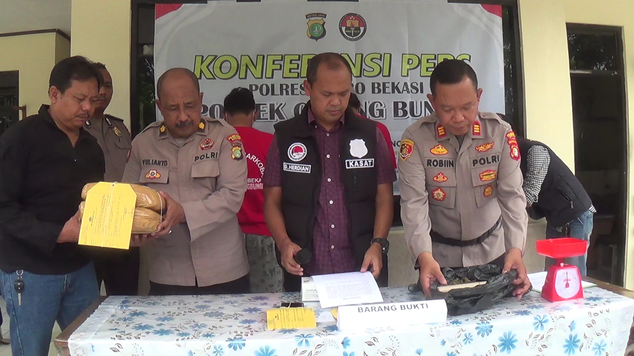 Dari Kiri : Kapolsek Akp. Robiin, Kasat Narkoba Dedy Hardiana, Kasubag Humas Polres Metro Bekasi Yulianto dan IPDA Safei Kanit Reskrim Polsek Cabangbungin saat memperlihatkan barang bukti ganja dari penangkapan dua orang tersangka bandar Narkoba 