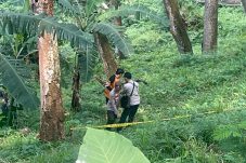 IMG-20250906-WA0006