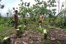 IMG-20251126-WA0034(1)