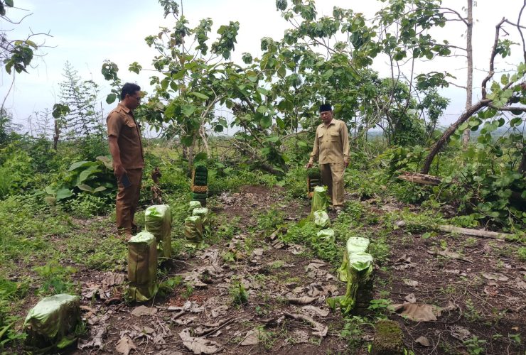 IMG-20251126-WA0034(1)