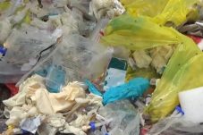 Screenshot_20251113-134257 (1)