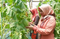 IMG-20251212-WA0032(1)