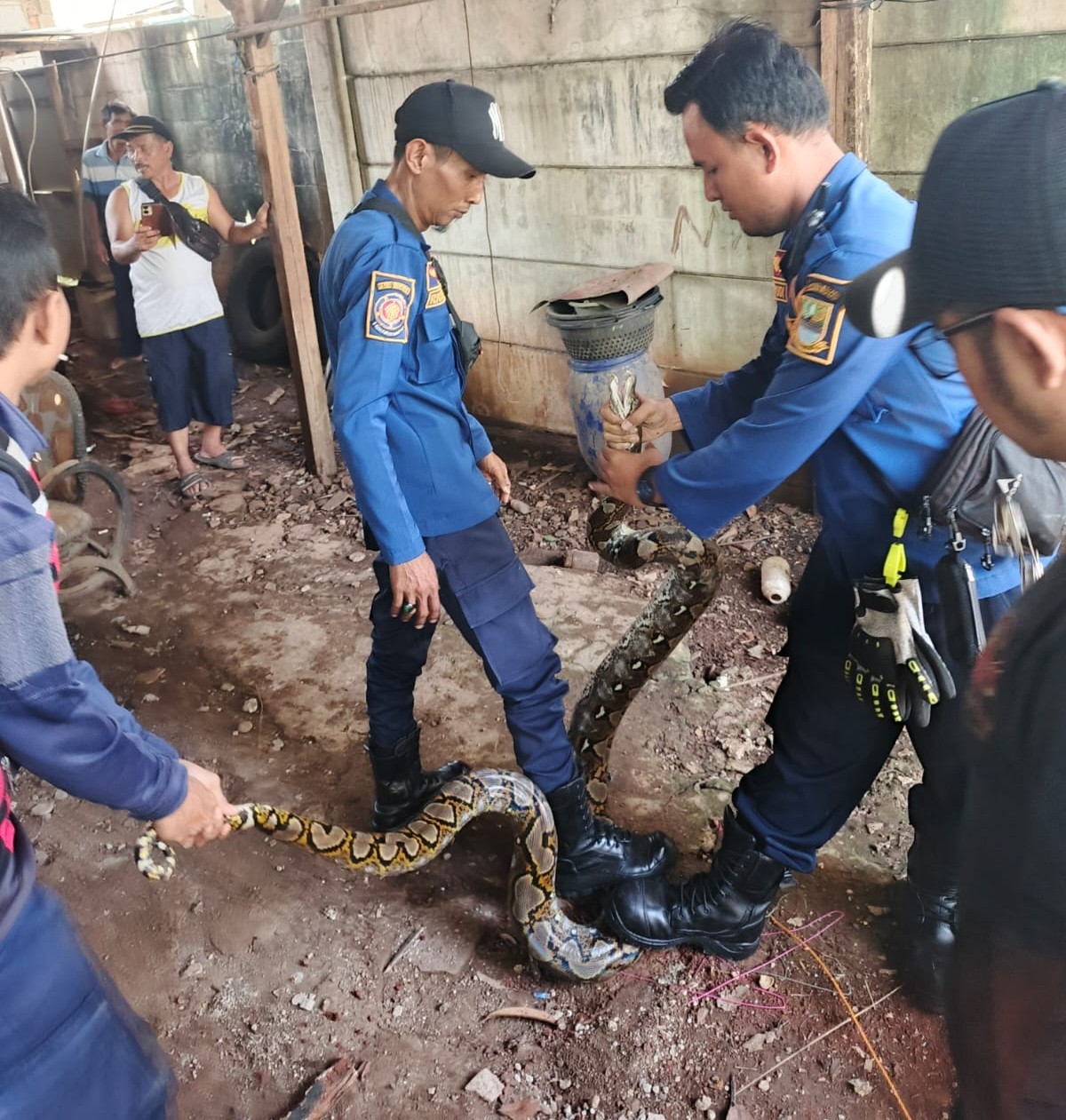 IMG-20260106-WA0016 (1)