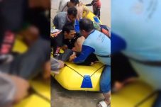 Screenshot_20260119-173014 (1)