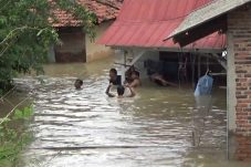 Screenshot_20260123-150559 (1)