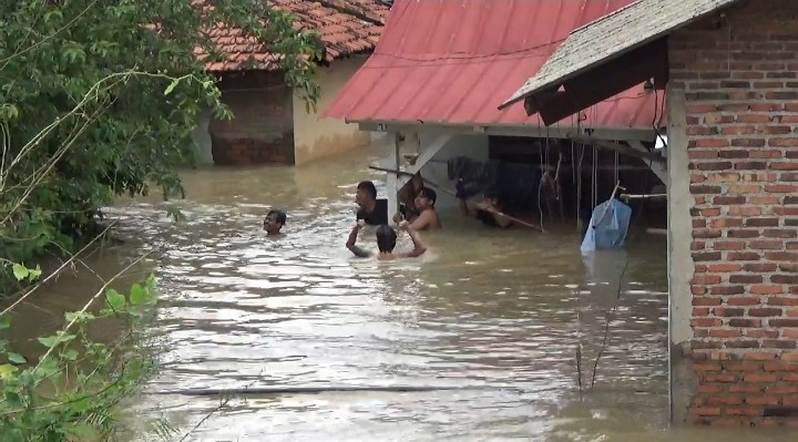 Screenshot_20260123-150559 (1)