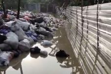 Screenshot_20260126-110830 (1)