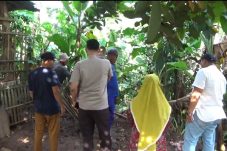 Screenshot_20260126-204530 (1)