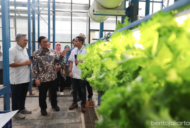 pertanian modern jkt