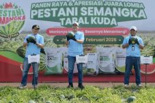 Hadapi Cuaca Ekstrim Petrokimia Gresik Bantu Petani Semangka