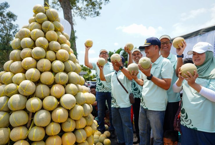 Petrokimia Gresik Cawe Cawe Pendapatan Petani Melon Pantura Meningkat 15 Persen
