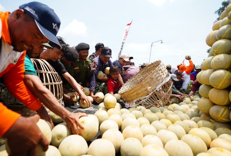 Berkat Petrokimia Gresik Petani Melon Pantura Kini Bisa Tersenyum Lebar
