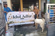 BKMS Bersama Tenant JIIPE Bagikan Puluhan Hewan Kurban