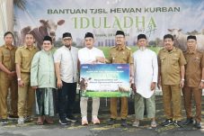 SIG Salurkan 292 Hewan Kurban di 19 Provinsi