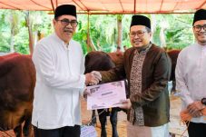 Hewan Kurban Bantuan Petrokimia Gresik Berasal Dari.Kebun Percobaan