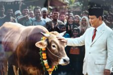 Presiden Prabowo Gelontorkan Rp100 M Untuk Salurkan 1.098 Ekor Sapi Qurban