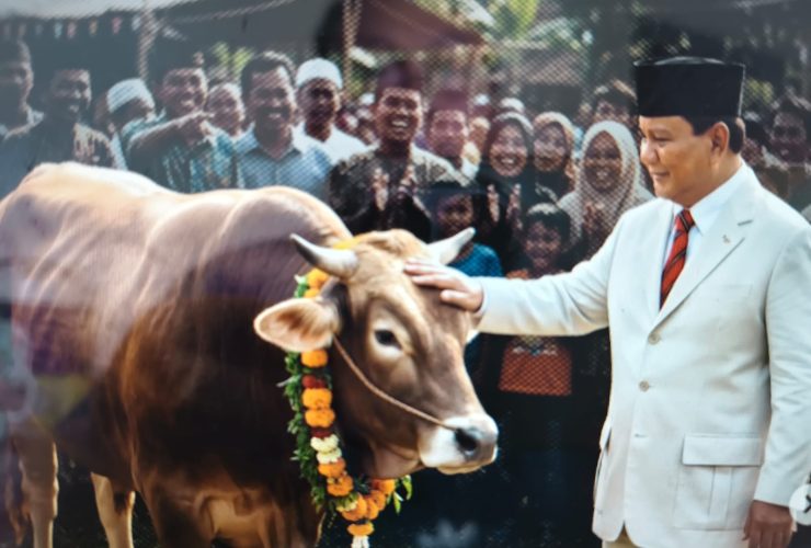 Presiden Prabowo Gelontorkan Rp100 M Untuk Salurkan 1.098 Ekor Sapi Qurban