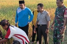 Wujud Syukur Hasil Pertanian, Babinsa Pangkur Ikuti Doa Bersama dan Methil Bareng