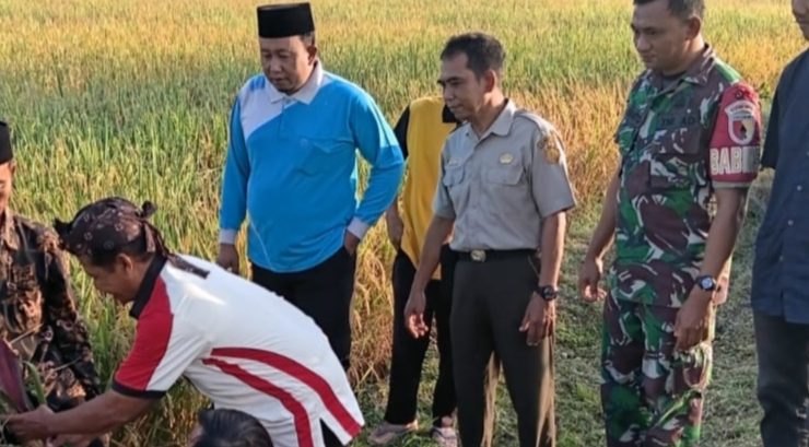 Wujud Syukur Hasil Pertanian, Babinsa Pangkur Ikuti Doa Bersama dan Methil Bareng