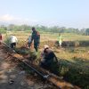 Babinsa Ngrambe Gotong Royong Bangun Pipanisasi Dari Mata Air Lodolo