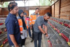Demi Masyarakat Aceh SIG Ubah Sampah Kelapa jadi Pakan Ternak