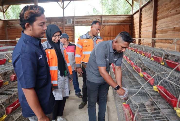 Demi Masyarakat Aceh SIG Ubah Sampah Kelapa jadi Pakan Ternak