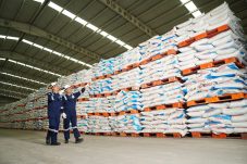 Semester 1 2026 Petrokimia Gresik Produksi 2.716.141 Ton Pupuk