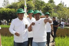Kementrian Pertanian: Cara Pandang Terhadap Profesi Petani Harus Dirubah.
