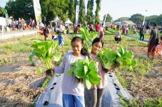 PAE Adalah Jembatan Penghubung Dunia Agroindustri dengan Masyarakat.