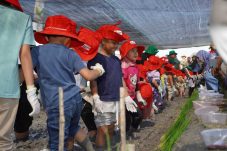 Petrokimia Gresik Beri Edukasi Generasi Muda untuk Regenerasi Petani