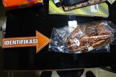 Bawa Kabel Tembaga Di Motor Dua Pekerja Ditangkap Polisi