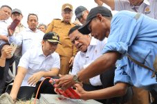 Menteri Pertanian Tinjau Lahan Pertanian Terdampak Kekeringan di Gresik