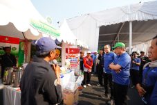 Pupuk dan Teknologi Budidaya Petrokimia Gresik Hasilkan Cabai Rawit Optimal.