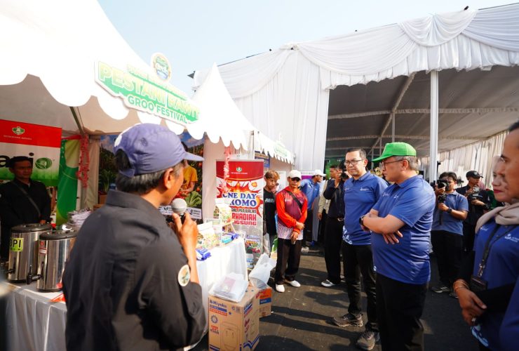 Pupuk dan Teknologi Budidaya Petrokimia Gresik Hasilkan Cabai Rawit Optimal.