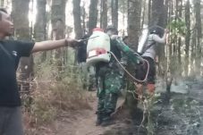 Babinsa Kendal Sisir Kawasan Hutan, Cegah Api Meluas ke Hutan Produksi