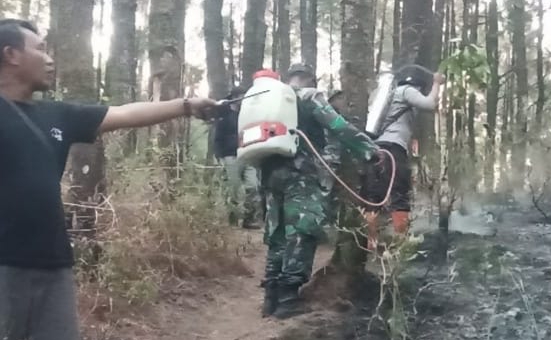 Babinsa Kendal Sisir Kawasan Hutan, Cegah Api Meluas ke Hutan Produksi