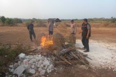 Polisi Gresik Bakar Arena Judi Sabung Ayam