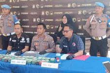 Berkat 110 Satresnarkoba Polres Gresik Temukan 10,8 Kg Ganja dalam Vespa