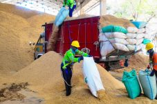 Dukung Produksi Pabrik Tuban Gunakan Sekam Padi 400 Ton Per Hari