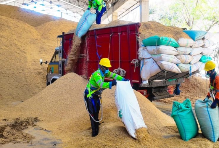 Dukung Produksi Pabrik Tuban Gunakan Sekam Padi 400 Ton Per Hari