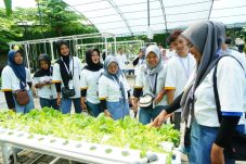 Melalui Harvestion Petrokimia Gresik Ubah Lahan Sekolah jadi Laboratorium Pembelajaran Nyata